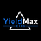 YieldMax TSM Option Income Strategy ETF
